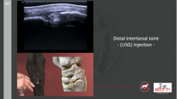 thumbnail for The Hock & Crus 2025